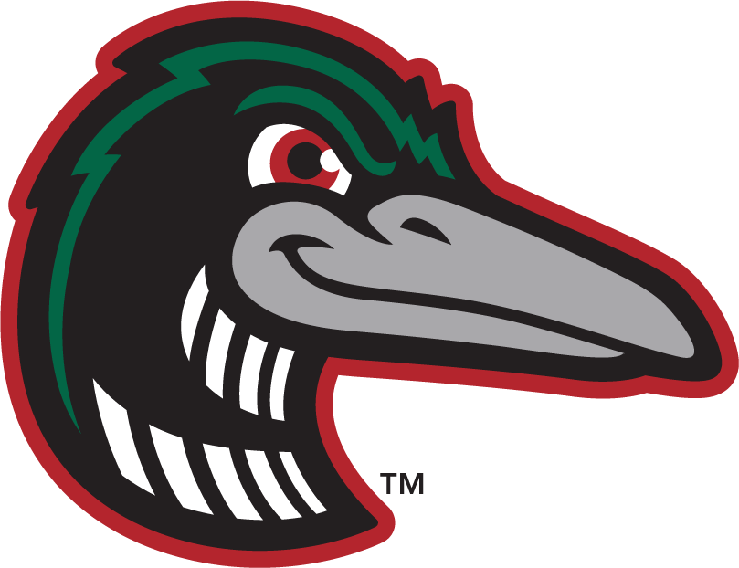 Great Lakes Loons 2016-Pres Alternate Logo v3 iron on transfers for T-shirts